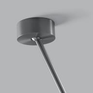 Tulip Titanium